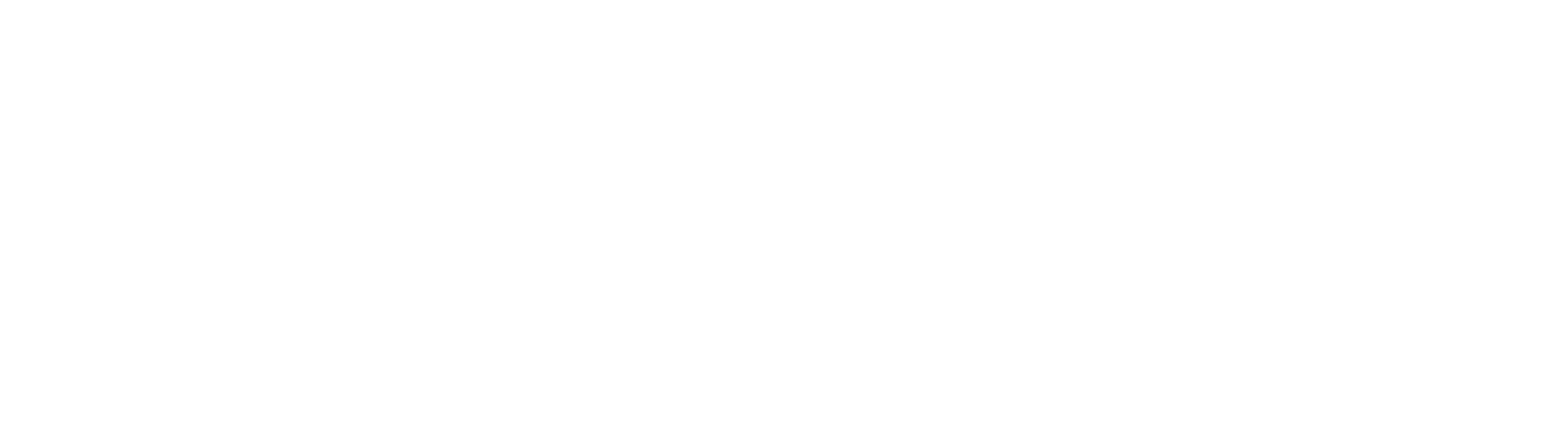 victus vision logo white