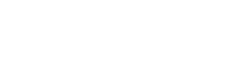 Weingut Tschermonegg logo white